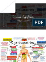 Sist Dig PDF - 230906 - 182310