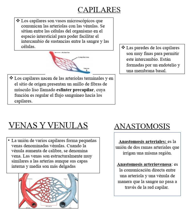 CAPILARES | PDF