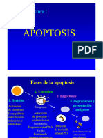 Clase Apoptosis