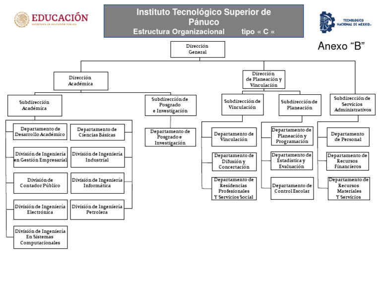 Organigrama Tecnm | PDF | Informática | Business