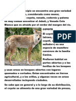 Fauna Nuevolaredo