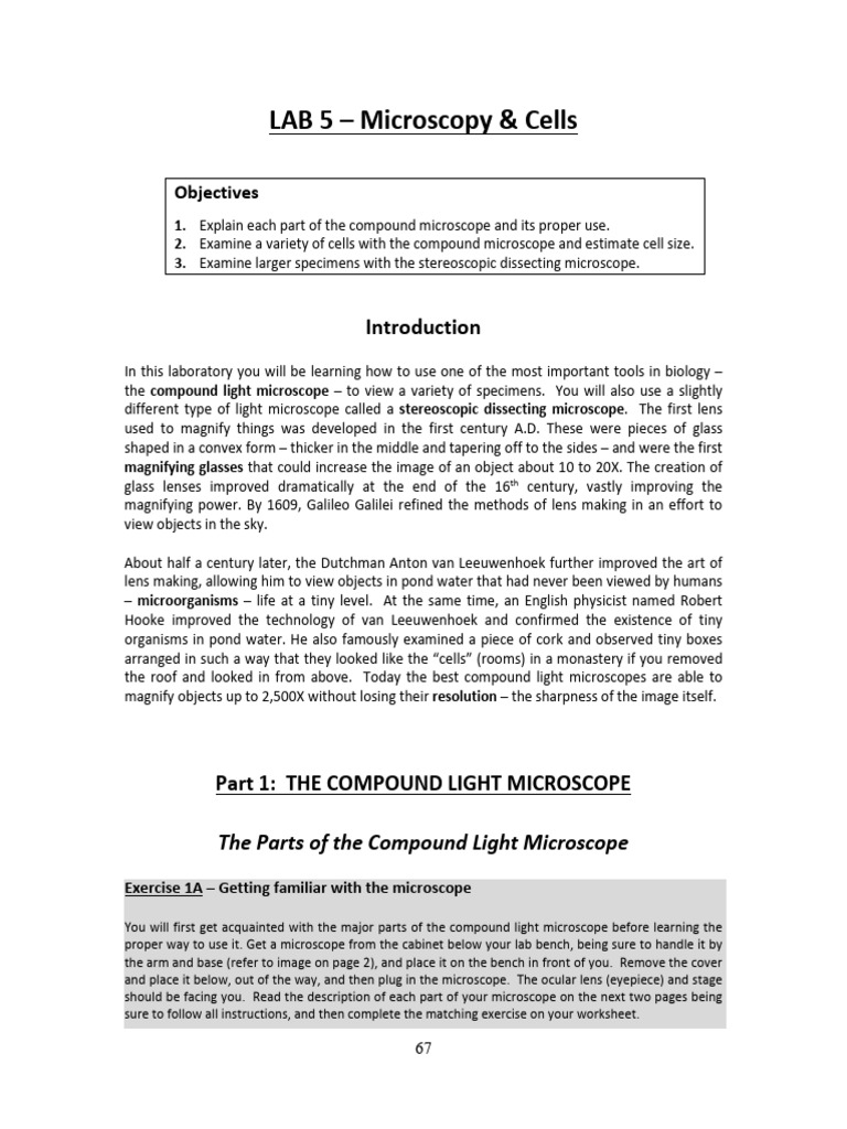 Microscopy Lab: Compound & Stereo | PDF | Cell (Biology) | Organelle