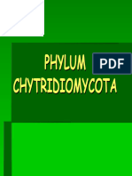 CHYTRYDIOMYCOTA