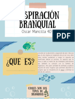 Respiración Branquial