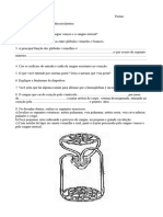 Estudo Dirigido - Sistema Cardiocirculatório