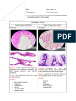 Pentason CompiledTissues (HHIS)