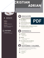 Cristian GD Curriculum CV