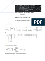 S13 - Matrices y Determinantes (Resuelto)