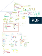 Repechaje 2 Biologia