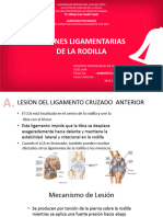 Lesiones Ligamentarias de Rodilla