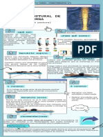 Infografia Higiene Postural - Jaime Delgado