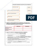 V Ciclo-Cuidados-Sistema Reproductor