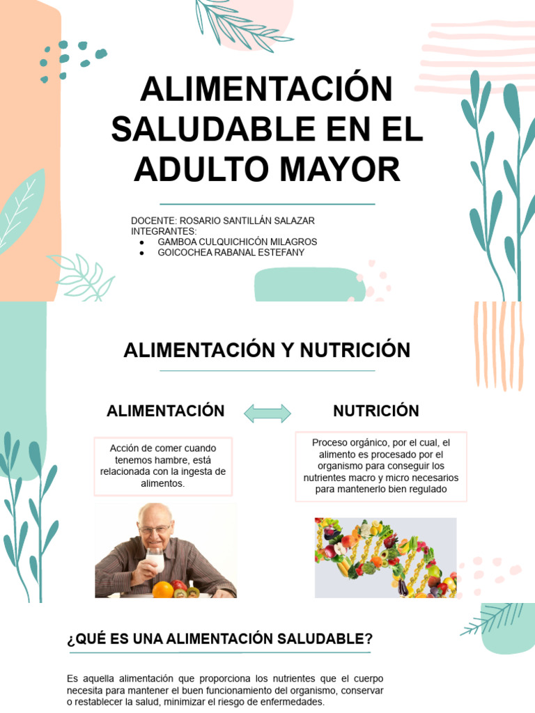 Alimentación Saludable en Adultos Mayores | PDF | Alimentos | Estómago