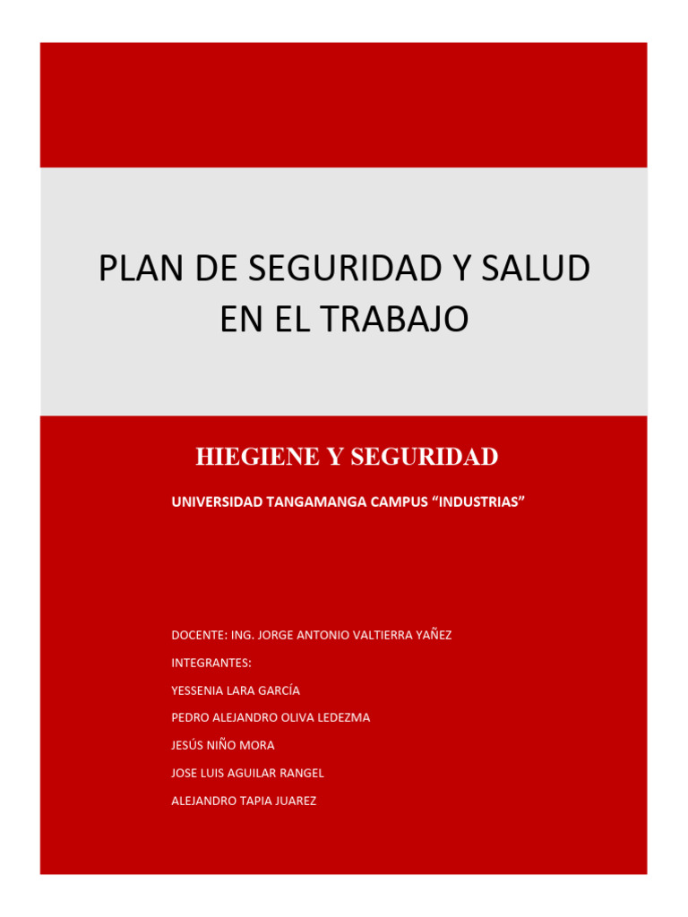 Plan de Seguridad y Salud Laboral | PDF | Valores | Business