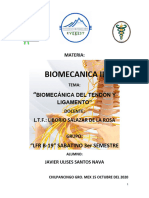 Biomecánica Del Tendón y Ligamento