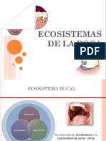 Clase 12 - Ecosistemas de La Boca y Biofilm Dental