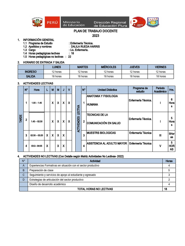 FORMATO PLAN DE TRABAJO DOCENTE 2023 | PDF | Maestros