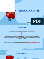 Endocarditis Ivonne