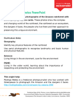 KS1 Rainforest Photos Teacher Notes