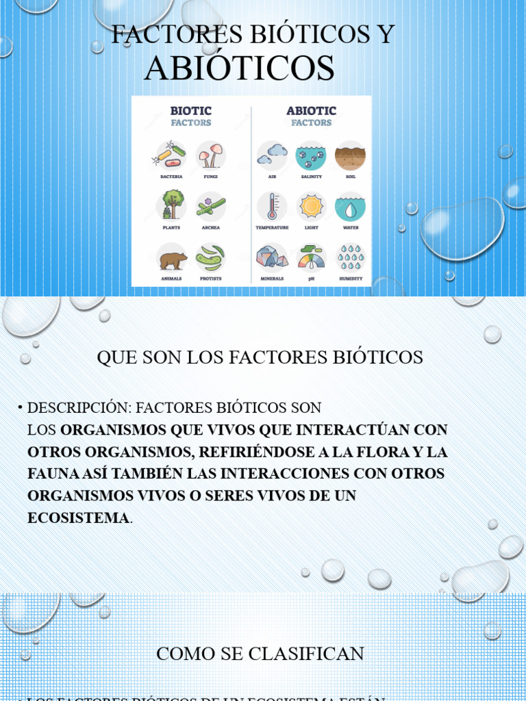 Bioticos y Abioticos | PDF
