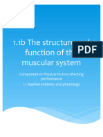 1.1b Structure and Function of The Muscular System (Autosaved)