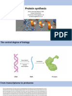 1 Protein Synthesis Balacco