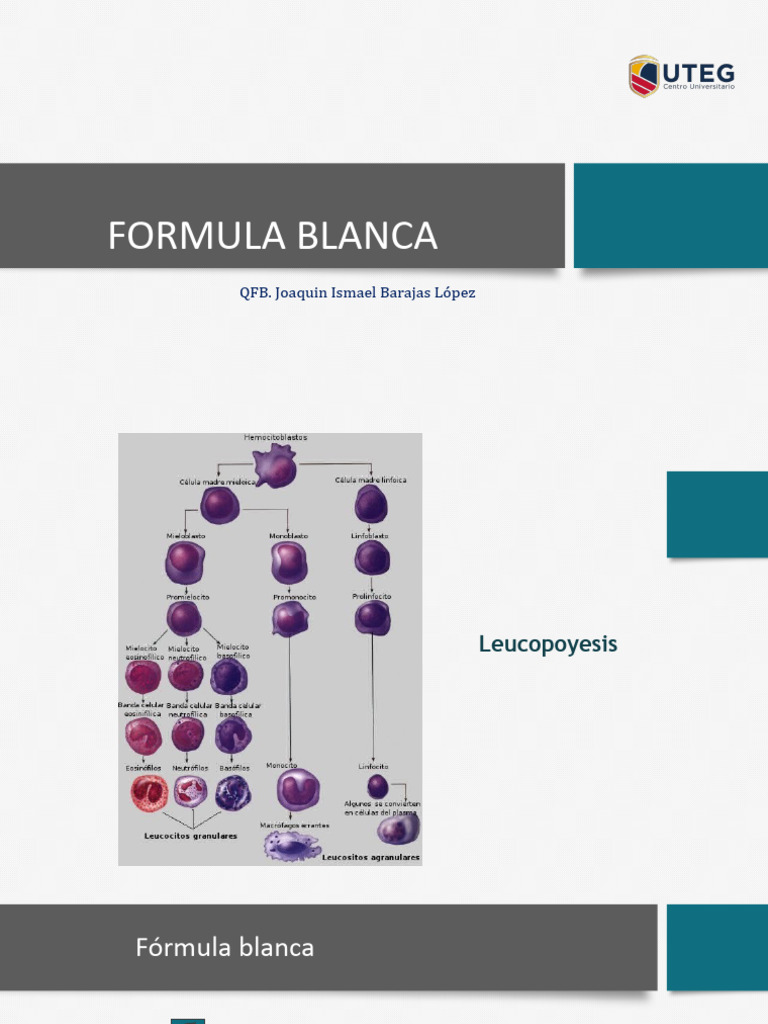 6-unidad-2-formula-blanca-pdf-leucocito-medicina