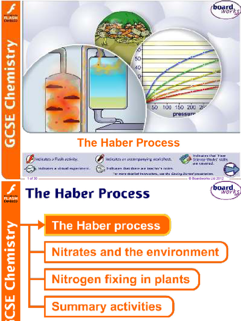 The Haber Process | PDF | Fertilizer | Ammonia