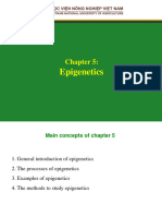 Molecular Biology 2 - Epigenetics