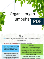 Organ Tumbuhan