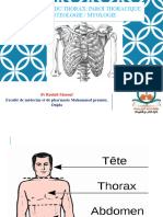Anatomie Du Thorax