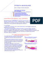 Ipertrofia Muscolare-1