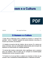 02-ohomemeacultura-140213120335-phpapp01