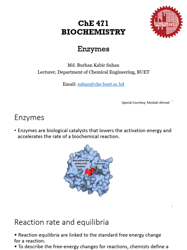 Enzymes BKS PDF Cofactor (Biochemistry) Enzyme