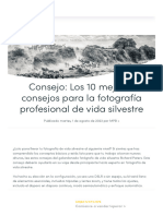 Consejo - Los 10 Mejores Consejos para La Fotografía Profesional de Vida Silvestre - MPB