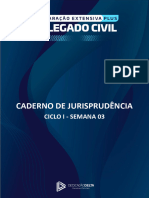 DD - Caderno de Jurisprudência-1