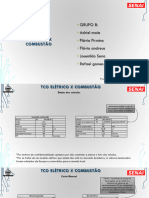 Trabalho TCO - Grupo 8