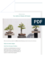 Les Différents Styles Et Formes de Bonsai - Maiitre Bonsai