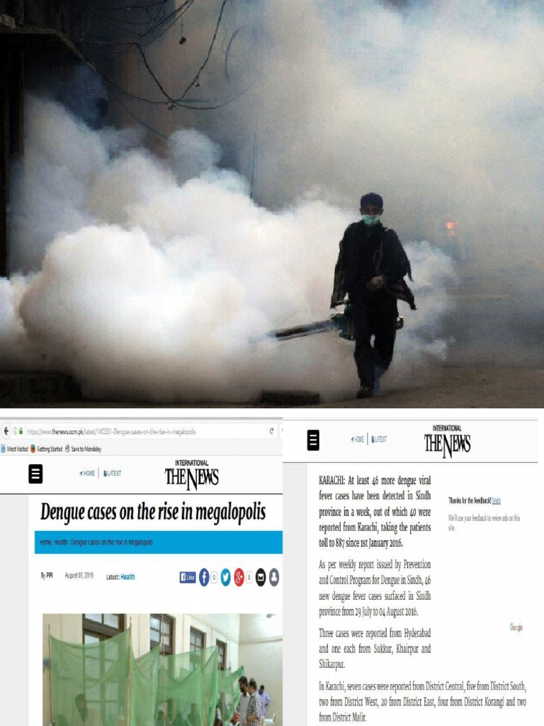 Disease Surveillance For Nurses Pdf Public Health Evaluation