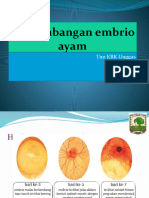 Perkembangan Embrio Ayam