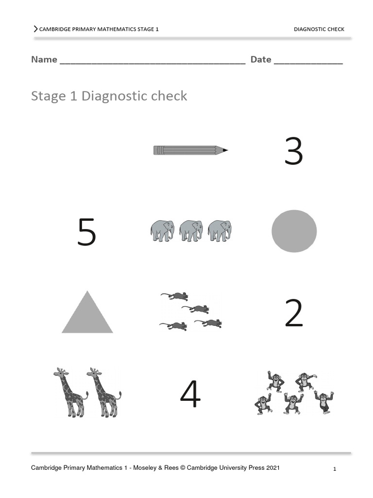 Stage 1 Maths Diagnostic Check | PDF