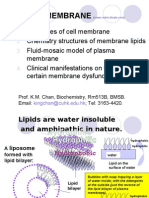 Download Cell Membrane by api-3733156 SN6712559 doc pdf