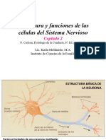 Neuronas