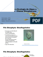 Apresentação Dinophyceas