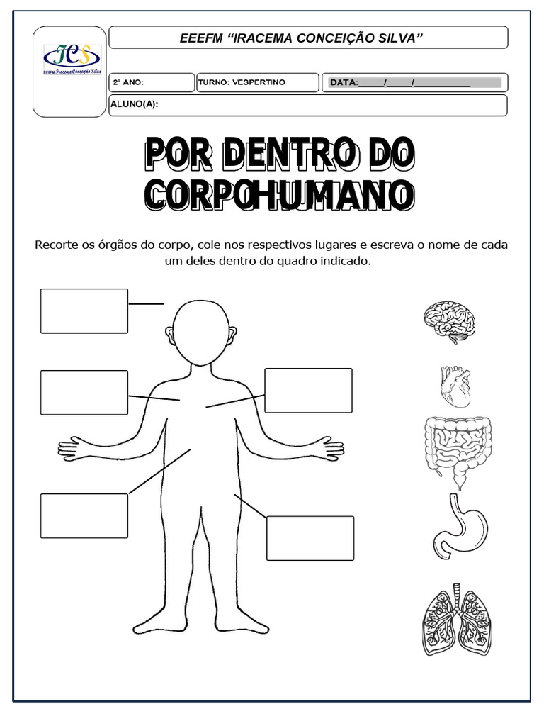 Atividade Corpo Humano Por Dentro - 2 Ano | PDF