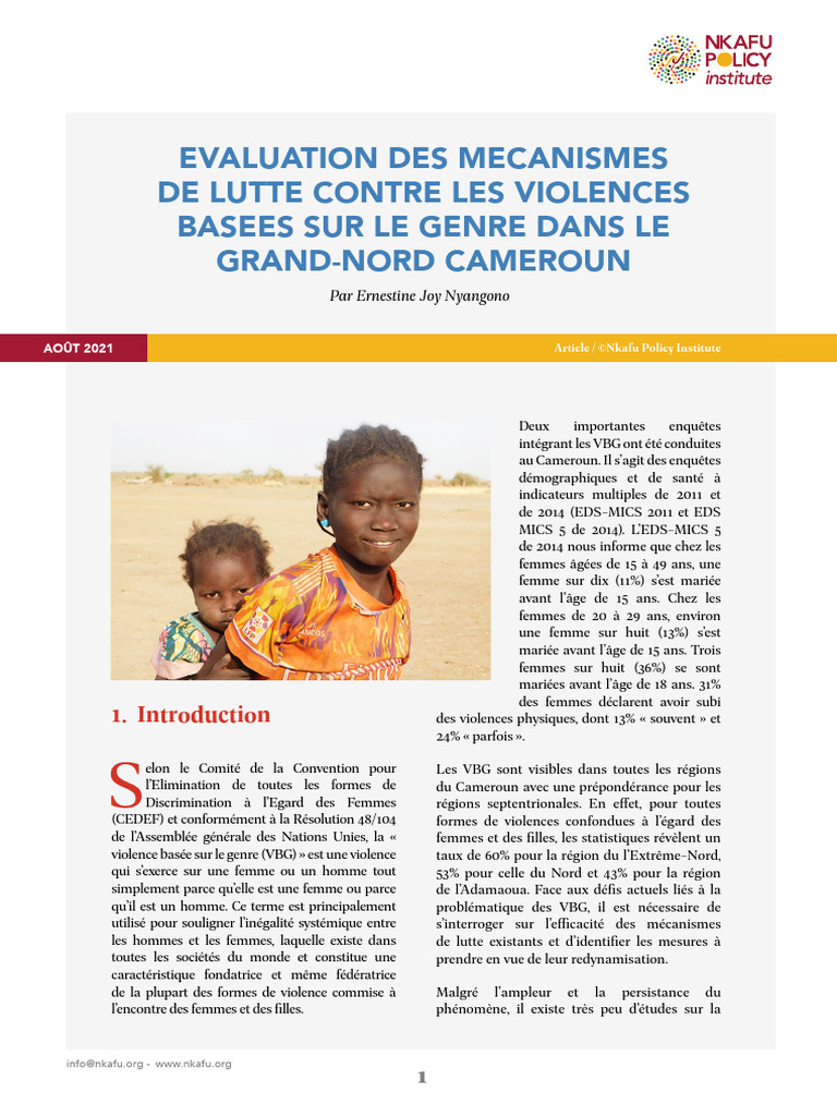 Évaluation des mécanismes anti-VBG au Cameroun | PDF | Violence contre ...