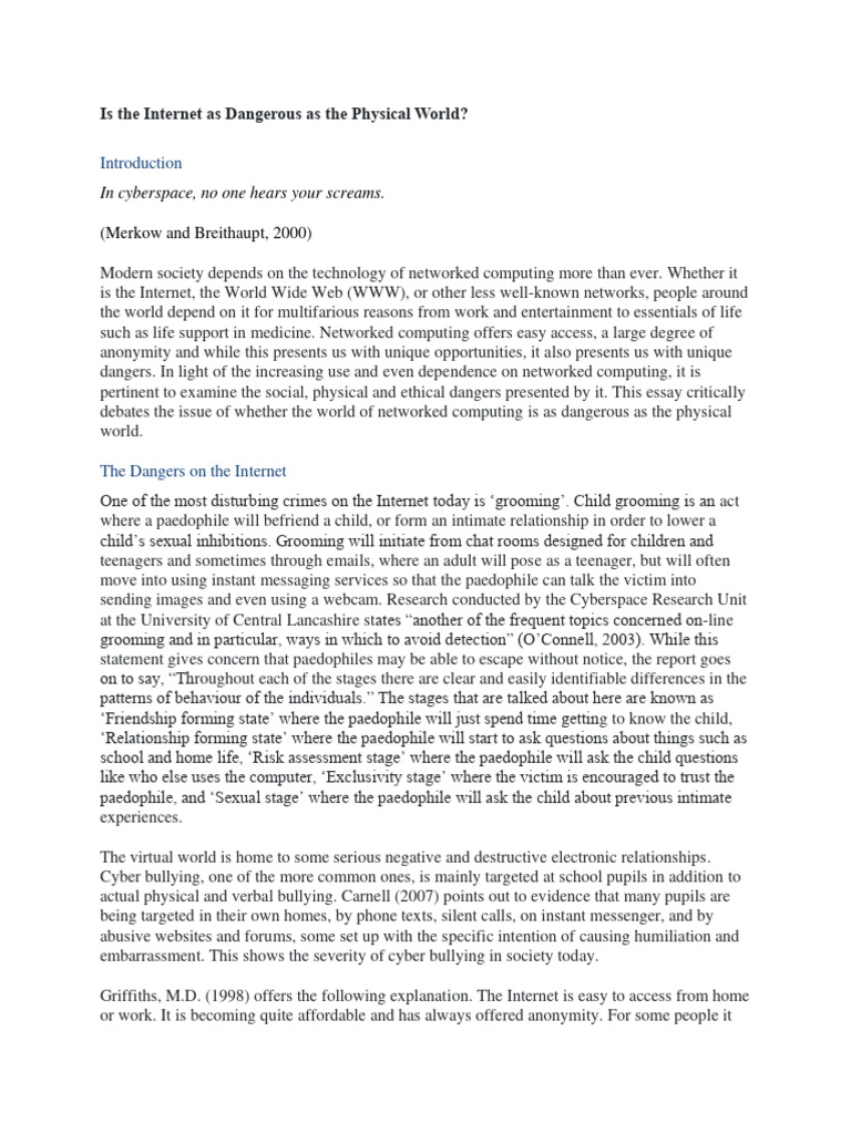Internet Dangers vs. Physical World Risks | PDF | Internet | Identity Theft