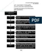 Luciano Garcia Juan Elias - Unidad 1 Actividad 2, Garantia de Los Derechos Fundamentales