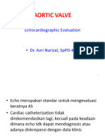 5b. Aortic Valve, DR Azri