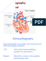 6a. Mitral Valve Regurgitation, DR Azri